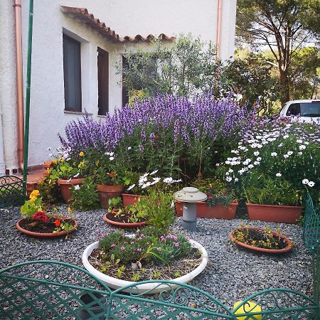 Villa Manuela Пула Екстериор снимка